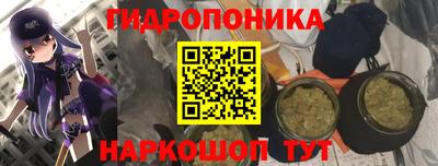 прущие грибы Можайск