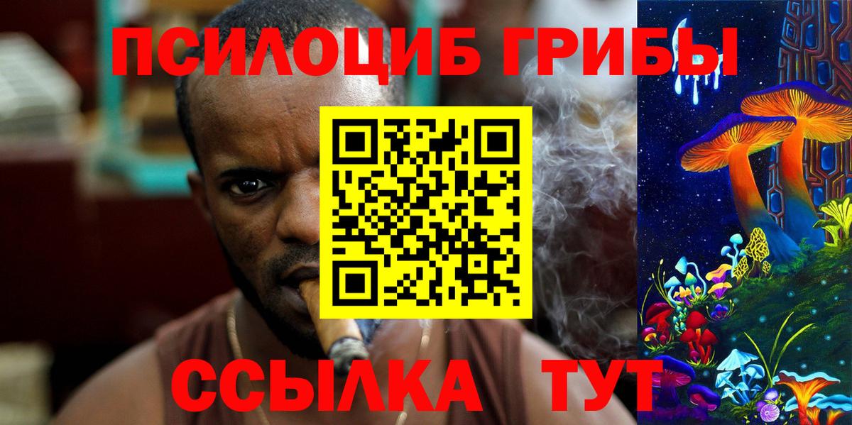 Галлюциногенные грибы Psilocybine cubensis  Вход с VPN  Янаул 